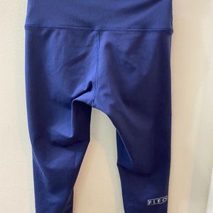 FLEO Bundle for jparlet